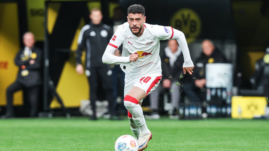 Technisch beschlagener Kämpfer mit tollem Komplettpaket: Romulo Cardoso.