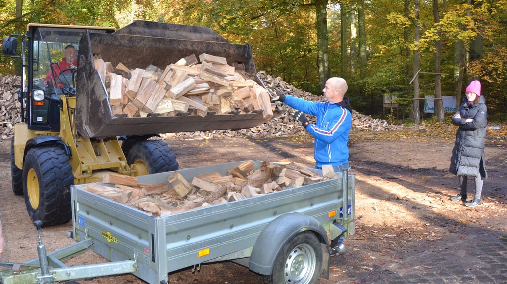 Im Hohen Holz bei Neindorf können sich die Bürger auch in diesem Jahr mit Brennholz für den Winter eindecken.