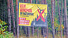 Mit solchen Plakaten, die die Mitglieder der Bürgerinitiative in der Dübener Heide platzieren, verkünden sie ihre Meinung.