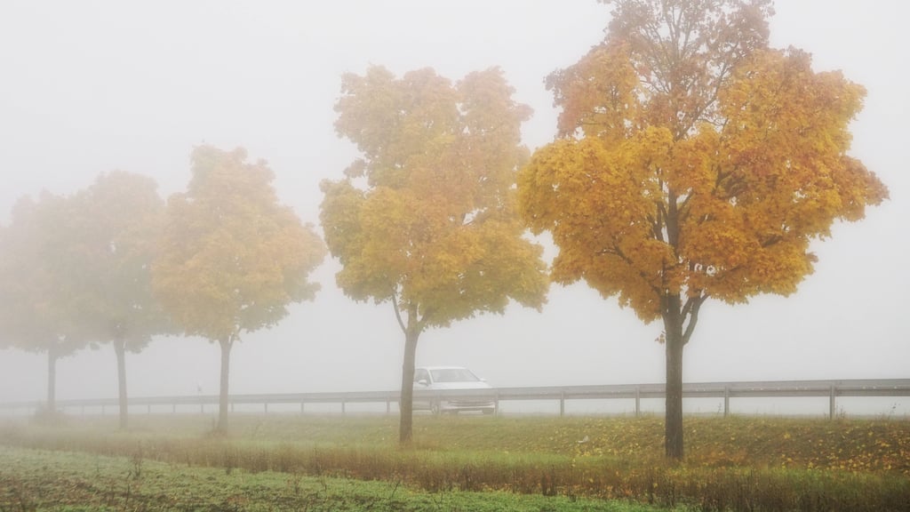 Das Wetter in Sachsen-Anhalt bleibt auch Mitte Oktober grau und wolkenverhangen.