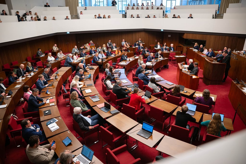 Drei Abgeordnete wollen künftig eng zusammenarbeiten und schließen sich zusammen. (Archivbild)