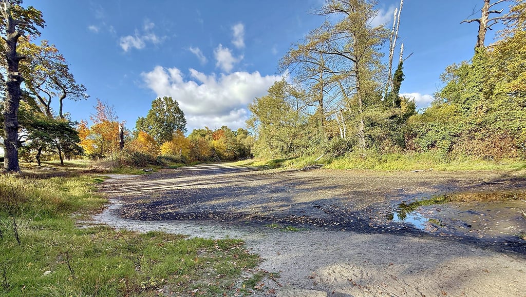 Der Lorkteich in Dessau ist wieder komplett ausgetrocknet