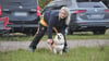 Darleen Pöhls vom Verein Rettungsunde Altmark und ihr Welsh Corgi Pembroke Munchkin sind bereit für das Training.