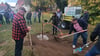 Nachdem der Arnsteiner Stadtrat den Falkensteiner nominiert hat, wurde in Ermsleben ein Baum gepflanzt. Aber nicht nur: Die Aktion wurde vielmehr genutzt, um sich einander besser kennenzulernen.