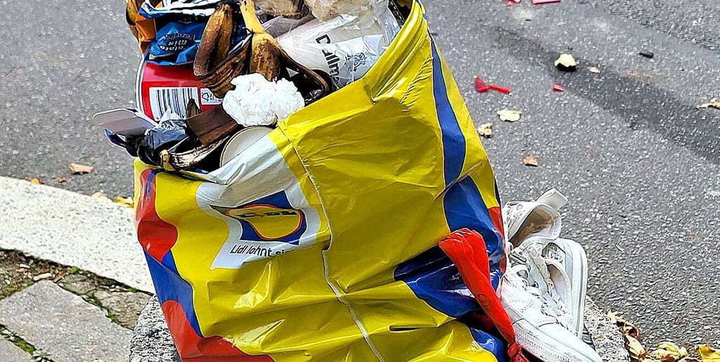 Ein besonders drastisches, nicht gestelltes, Beispiel: So werden öffentliche Papierkörbe missbraucht.