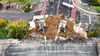 Die Ringbrücke, die über die Brenneckestraße in Magdeburg führt, wird derzeit abgerissen. An der Halberstädter Straße soll es auch bald losgehen.