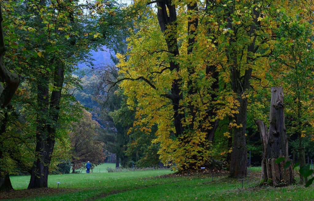 Der Schlosspark Wechselburg soll über ein Förderprogramm mit Hilfe des Bundes für den Klimawandel fit gemacht werden.