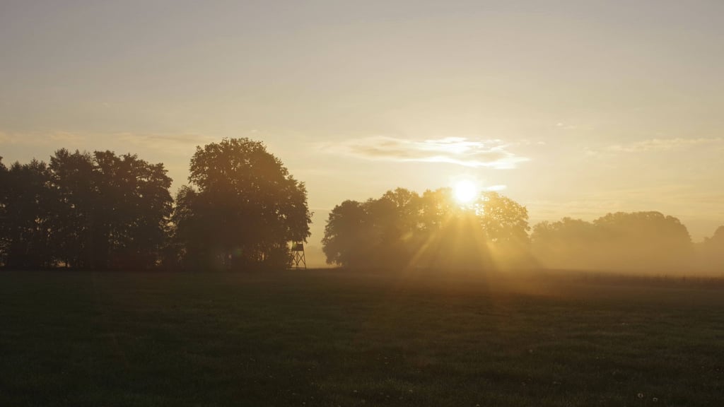 Das Wetter in Sachsen-Anhalt bleibt auch Mitte Oktober grau und wolkenverhangen. Die Sonne lässt sich nur selten blicken.