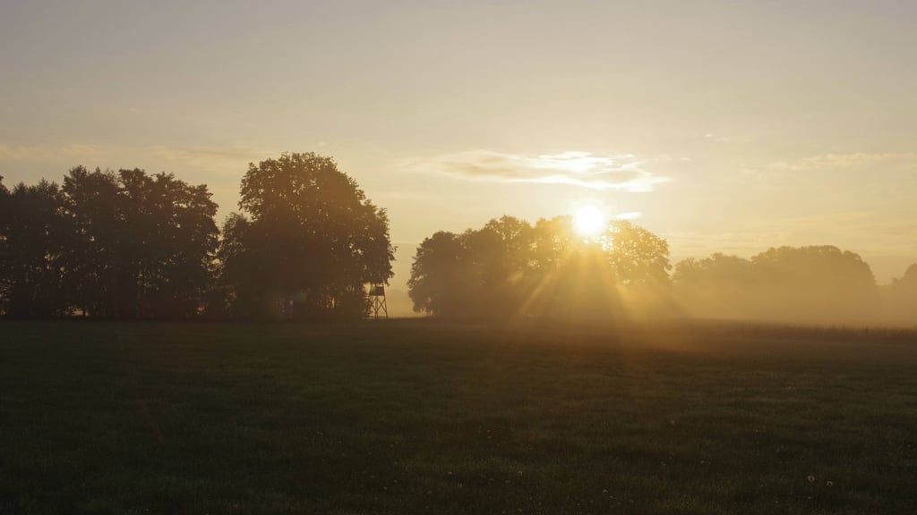 Das Wetter in Sachsen-Anhalt bleibt auch Mitte Oktober grau und wolkenverhangen. Die Sonne lässt sich nur selten blicken.