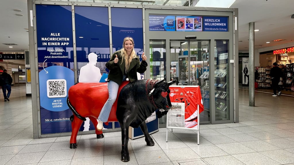 MZ-Volontärin Hanna Schabacker hat den Bullen gezähmt. Das Maskottchen der Saale Bulls steht jetzt eine Woche bei MZ im Gläsernen Bahnhofsbüro.