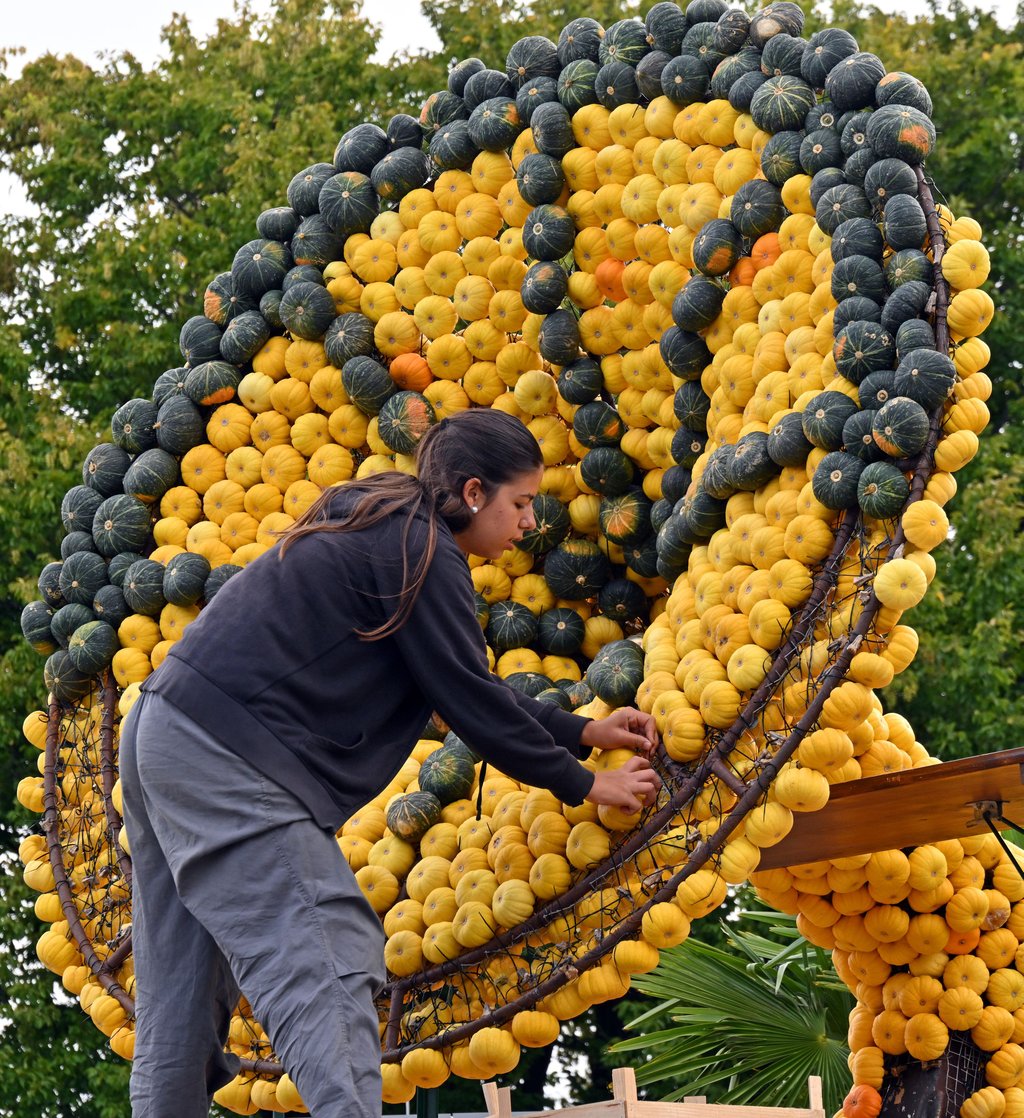 Aus vielen Kürbissen wird ein Grammophon. Die Skulptur ist Teil der traditionellen Kürbisausstellung im Egapark. Die Ausstellung ist bis 31. Oktober 2025 geöffnet.