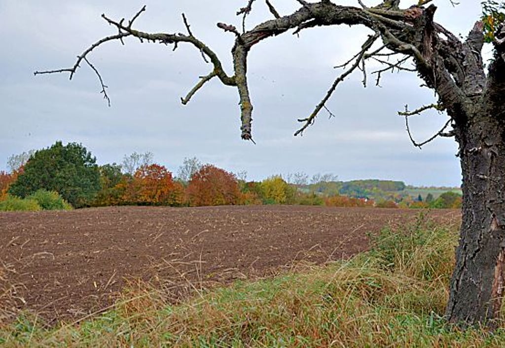 In diesem Bereich am südlichen Stadtrand von Hecklingen war der Leichnam von Spaziergängern gefunden worden.