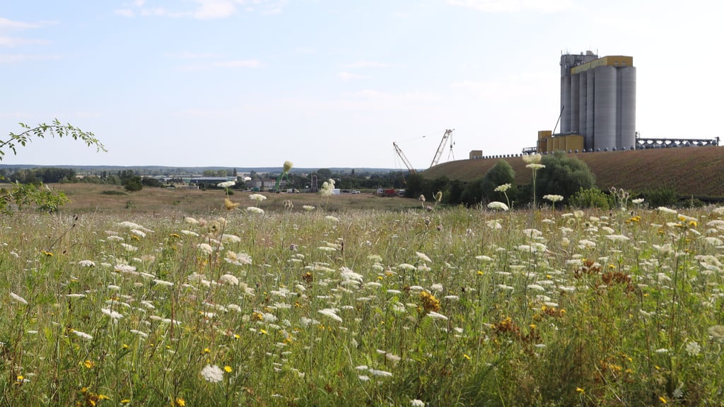 Im Gewerbegebiet Vahldorf direkt am Mittellandkanal sind noch Flächen frei. In Ausschüssen der Niederen Börde sollen die Grundlagen für die weitere Wirtschaftsförderung in der Gemeinde ausgelotet werden.