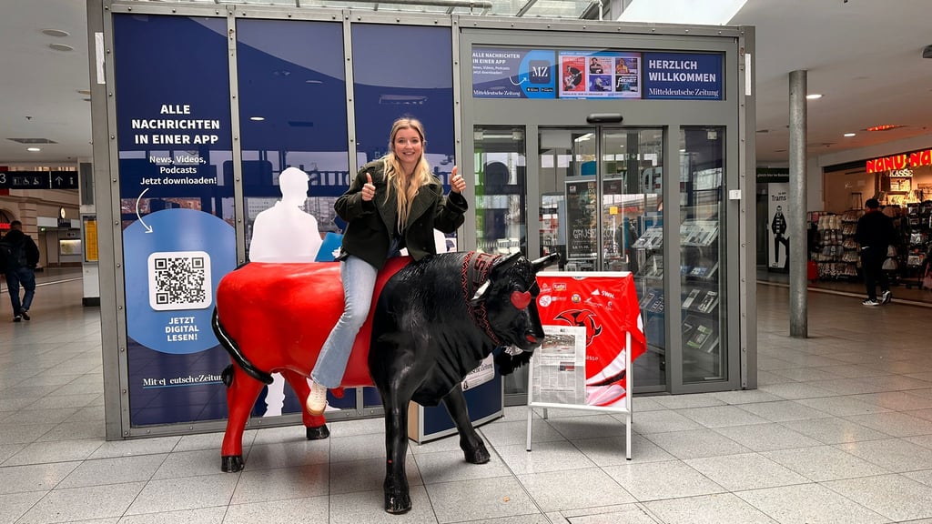 Der Bulle der Saale Bulls steht vor dem gläsernen Büro der Halle-Redaktion.