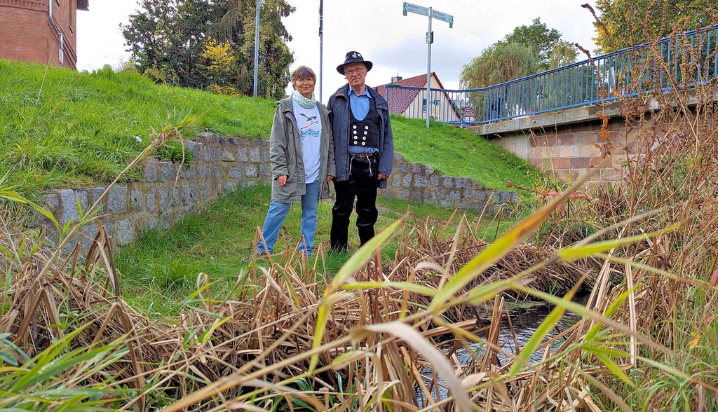Der Förderverein Elsterfloßgraben arbeitet seit 2011 unter dem Dach der Deutschen Flößerei-Vereinigung.
