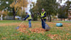 Staßfurts Pflanzen- und Baumwelt entblättert sich dieser Tage – die Arbeiter sind unterwegs, um für Sauberkeit und Sicherheit zu sorgen.
