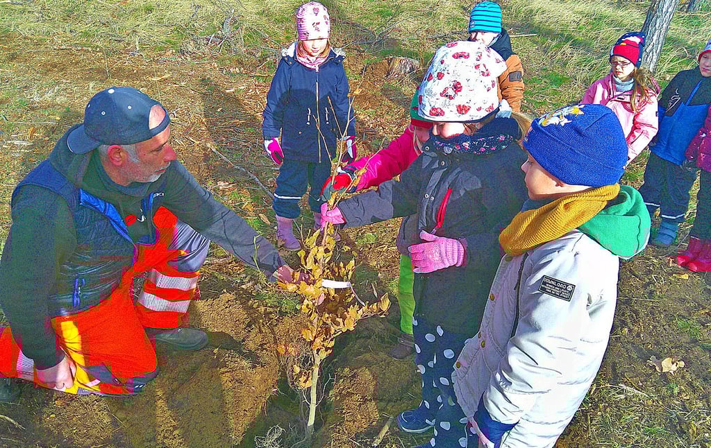 Im Januar 2024 waren Kinder der Kita Möckern beim ersten Versuch des Kinderwaldes für Möckern dabei.