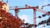 Bauen soll in Deutschland künftig schneller gehen. (Archivbild)