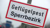 Die Gefahr steigt: Es gibt neue Geflügelpest-Fälle in Brandenburg und im benachbarten Mecklenburg-Vorpommern.