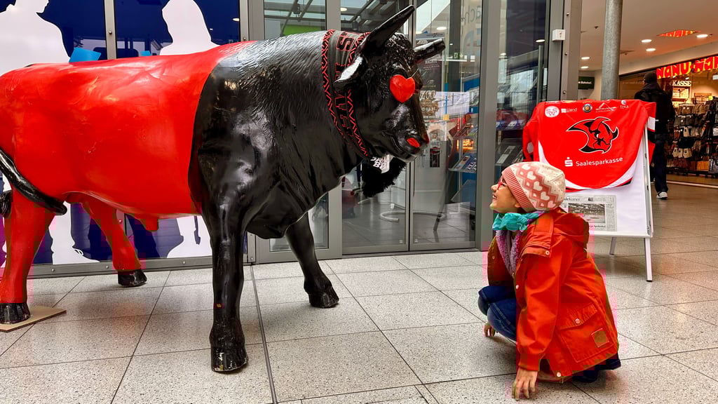 „Bist Du mein Freund?“ Die kleine Uma mustert den Stier der Saale Bulls im Hauptbahnhof vor dem Gläsernen MZ-Büro.