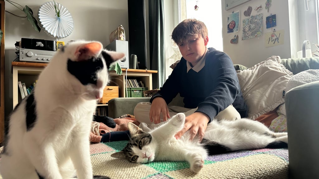 Schüler Joschua leistete bei der geliebten Katze Ersthilfe. Die Eindrücke von jenem Morgen wird er so schnell nicht vergessen.