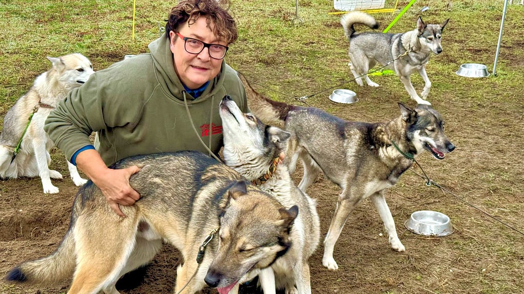 Mitten im Husky-Rudel. Steffi Hinrichs gehört mit zum Organsationsteam der European Open, die in Leipa stattfinden.