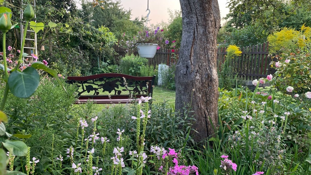 Sieger im Landeswettbewerb 2025 wurde die Kleingartenanlage „Bornholm I“ in Prenzlauer Berg.