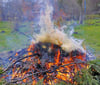 Gartenabfälle dürfen  teils verbrannt werden.