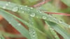 Zu Beginn der Woche wird es in Sachsen-Anhalt wieder regnerisch. Allerdings steigen die Temperaturen noch einmal an. (Symbolfoto)