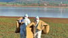 Feuerwehrleute bergen in Wathosen und unter Vollschutz tote Kraniche am Stausee Kelbra. 