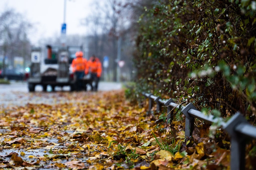 In der kommenden Woche soll es laut DWD mehrere regnerische Herbsttage geben. (Symbolbild)