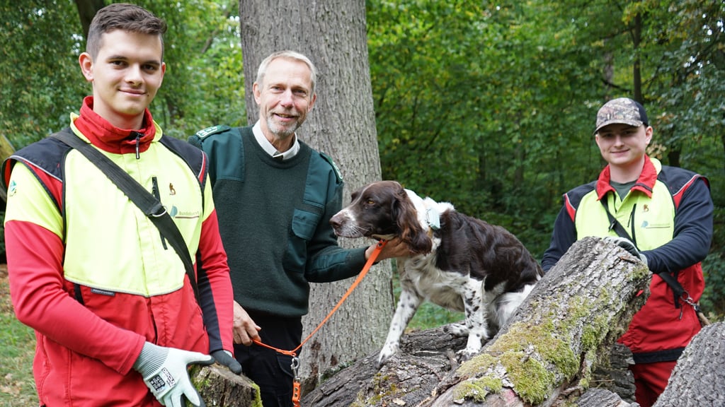 Tristan Kruse (l.) und Julius Wachsmuth sind Forstwirt-Azubis und haben am Erasmus-Programm in Spanien teilgenommen. Unterstützt wurden sie von Rainer Aumann, Leiter des Bundesforstamtes.