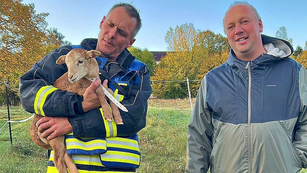 Sind froh über den guten Ausgang der Verfolgungsjagd in Helbra: Dennis Schuppig mit Lamm Lilly und Bürgermeister Gerd Wyszkowski.