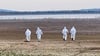 Feuerwehrleute sammeln am Stausee tote Kraniche ein, die an der Vogelgrippe verendet sind. 