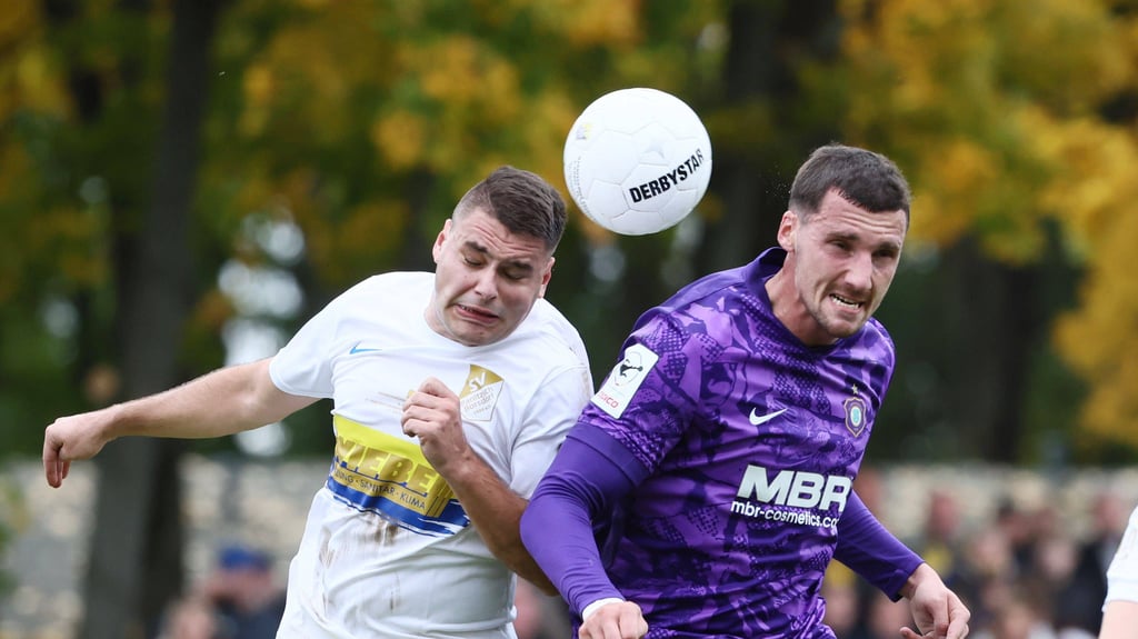 Nach der Krebs-Diagnose kann Fußball-Profi Ricky Bornschein (r.) vom FC Erzgebirge Aue wieder auf dem Platz kämpfen.