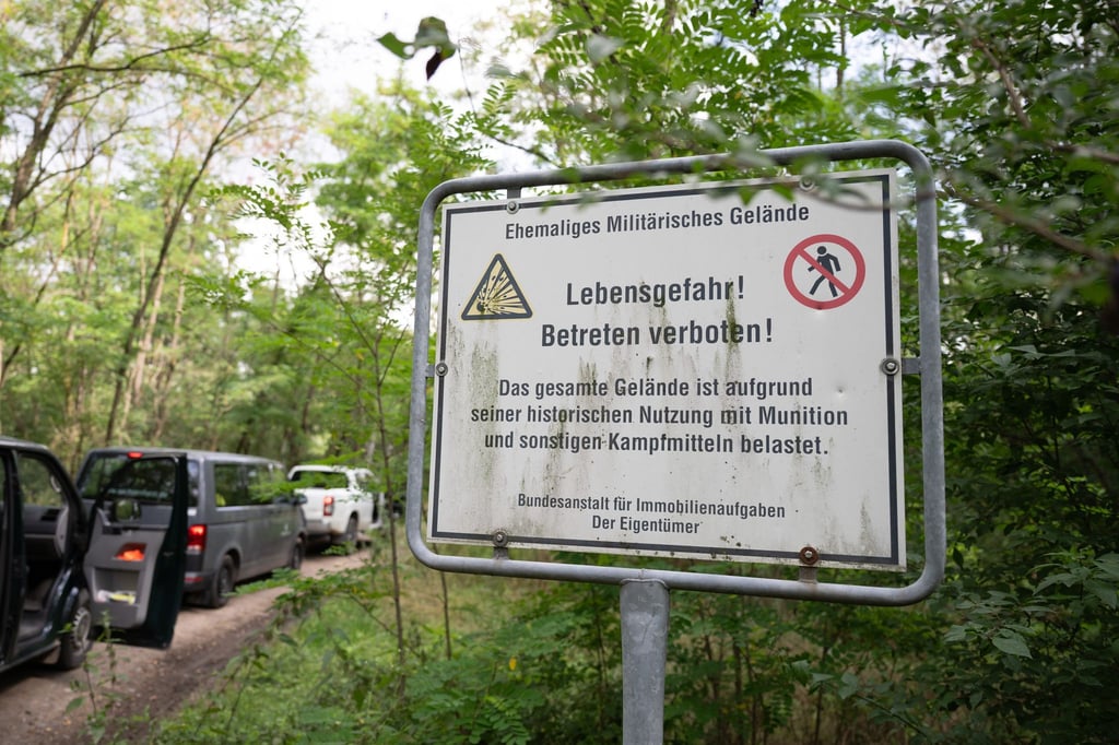 In der Gohrischheide, einem Naturschutzgebiet und früheren Truppenübungsplatz, brach Anfang Juli ein tagelang andauernder Waldbrand an. (Archivbild)