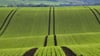 Die Preise für landwirtschaftliche Flächen blieben stabil. (Archivbild)