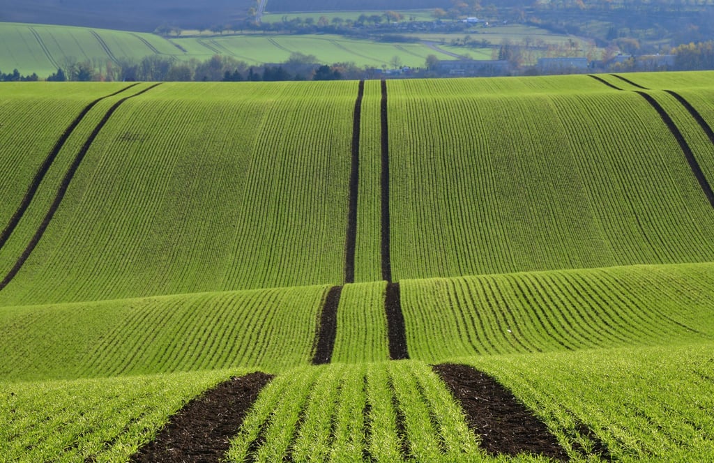 Die Preise für landwirtschaftliche Flächen blieben stabil. (Archivbild)