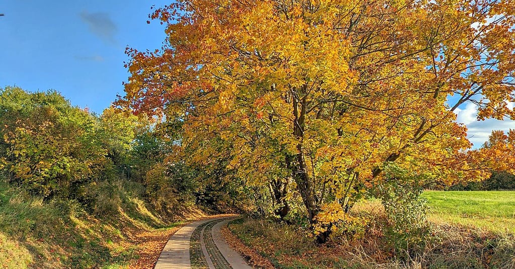 Einladung zum Herbstspaziergang bei Zangenberg