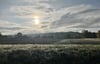 So ein Herbstmorgen, wenn die  Sonne   sich noch nicht entscheiden kann und der Dunst Scherenschnitte zaubert, hat einen besonderen Reiz.  