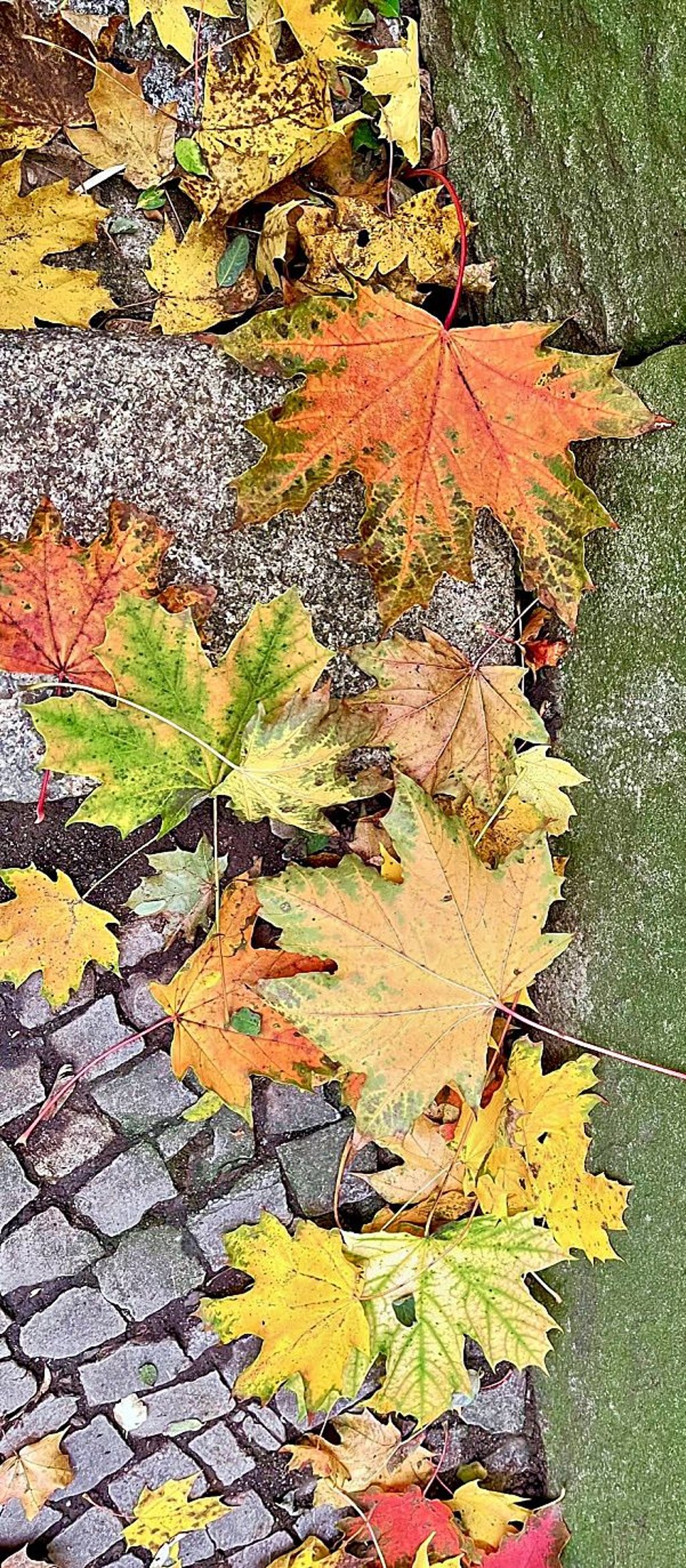 Blatt-Kunst