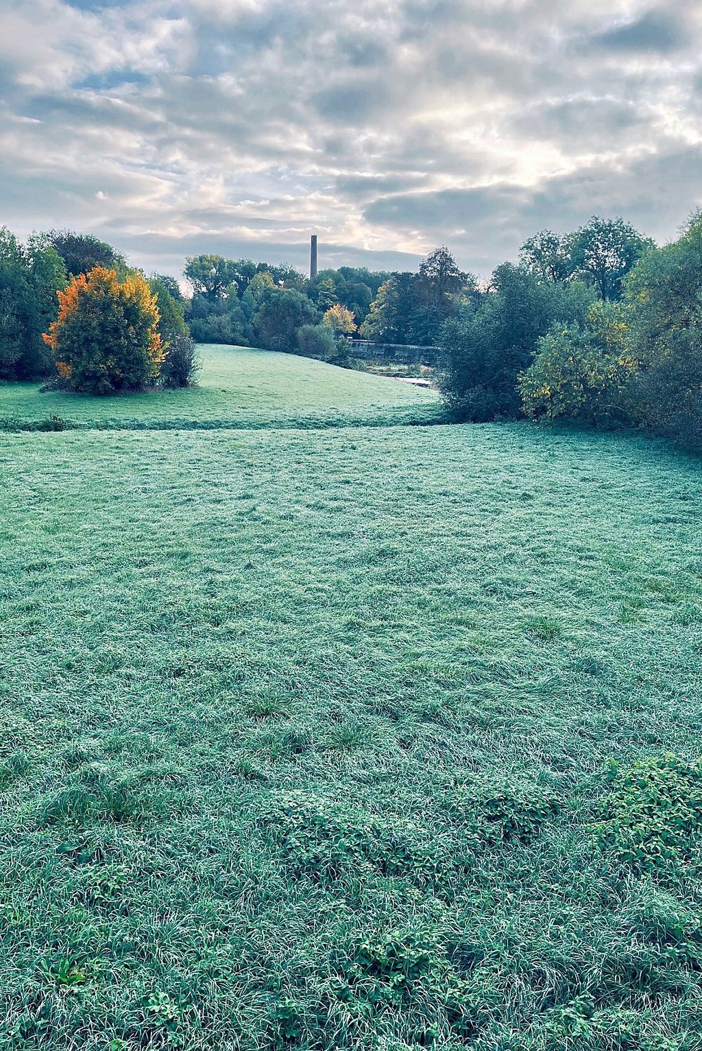 Ein Hauch von Frost und Winter auf den Elsterwiesen