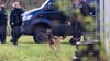Leichenspürhund durchsuchen das Grundstück.