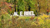 Aufgrund von Vandalismus musste ein Buchstabe im „Alte Bibel“-Schriftzug entfernt werden.