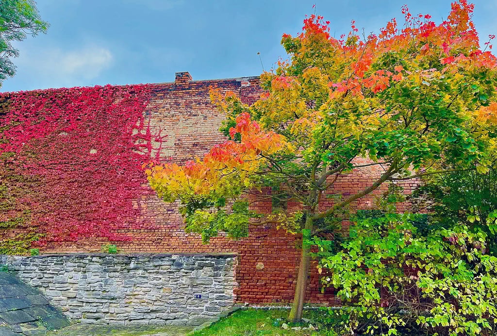 Landschaft, Natur und Stadtbild sind im Herbst wie verzaubert, hier Mauern in der Innenstadt.
