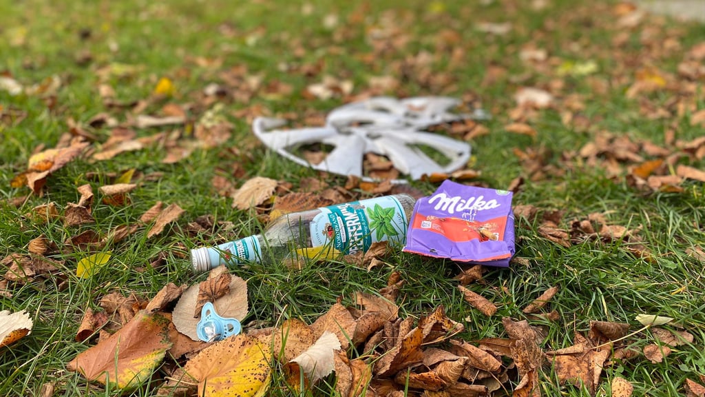 Schnuller, Schnaps, Schokolode, Zigaretten und Radkappen – ein Zufallsfund im Stadtgebiet Staßfurt.