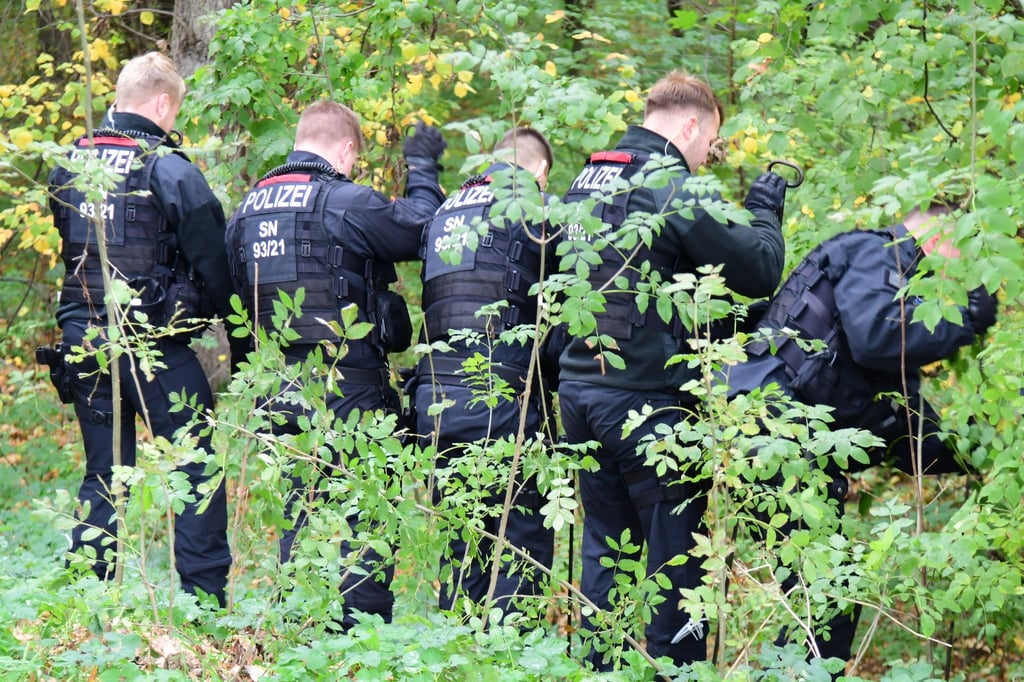 Polizisten durchsuchen einen Wald und eine Wiese.