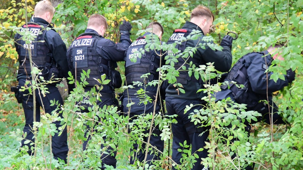 Polizisten durchsuchen einen Wald und eine Wiese.