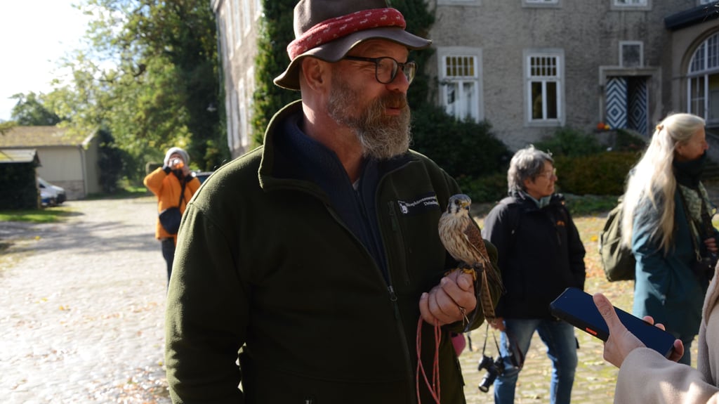 Ranger Thomas Klöber ist auch vor Ort mit seinen Greifvögeln.