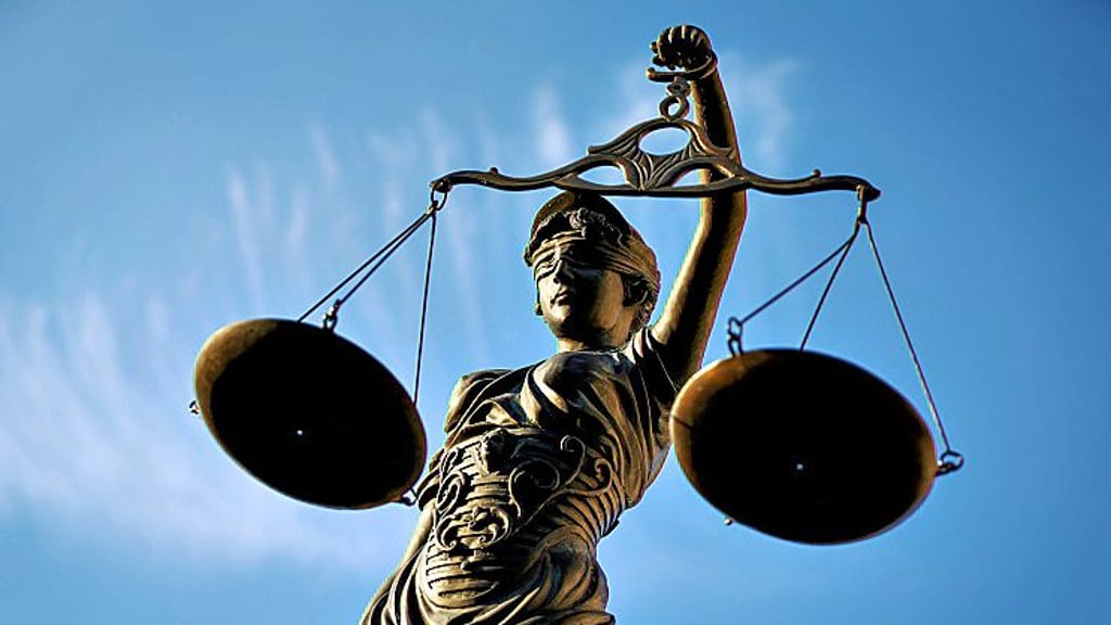 Wegen Internetbetrugs musste sich zwei junge Alslebener vor dem Bernburger Amtsgericht verantworten.
